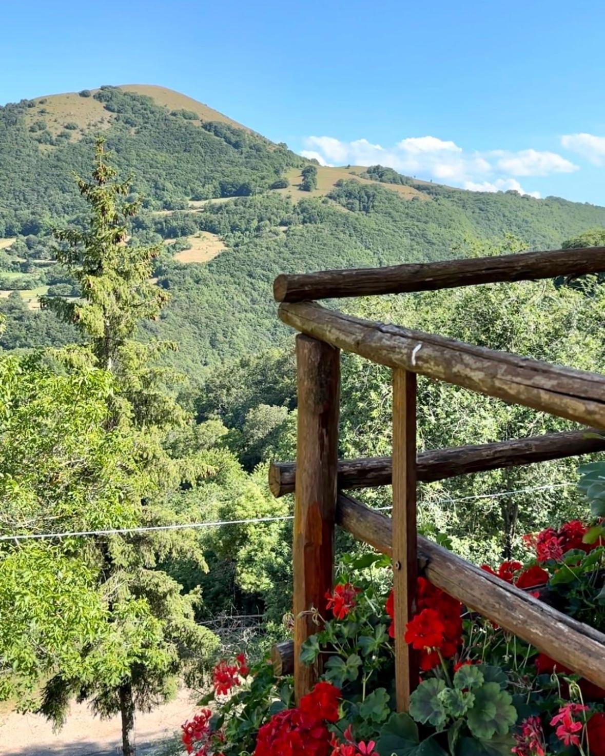 Agriturismo Pettino 克利通诺河畔坎佩洛 外观 照片