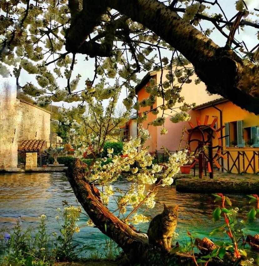 Agriturismo Pettino 克利通诺河畔坎佩洛 外观 照片