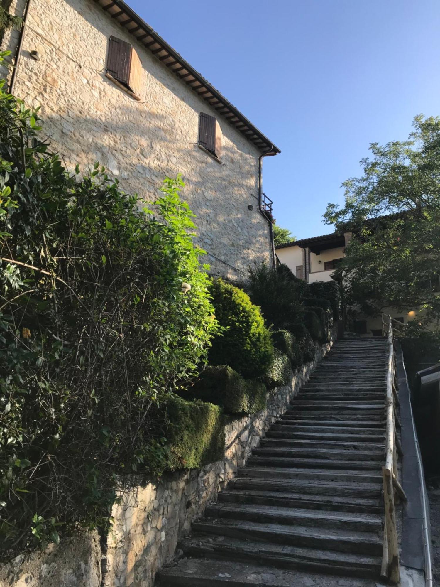 Agriturismo Pettino 克利通诺河畔坎佩洛 外观 照片