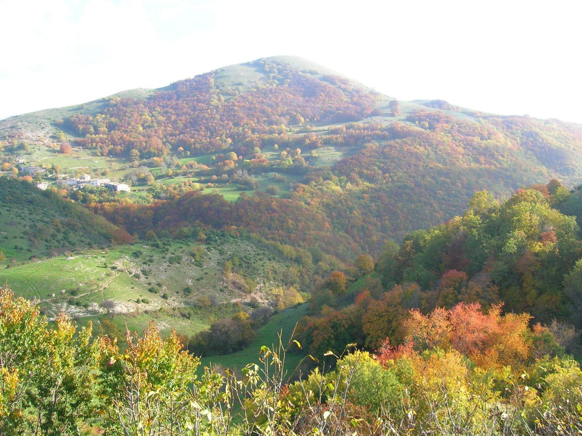 Agriturismo Pettino 克利通诺河畔坎佩洛 外观 照片